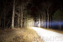 Load image into Gallery viewer, Diode Dynamics Stage Series 42" White Light Bar