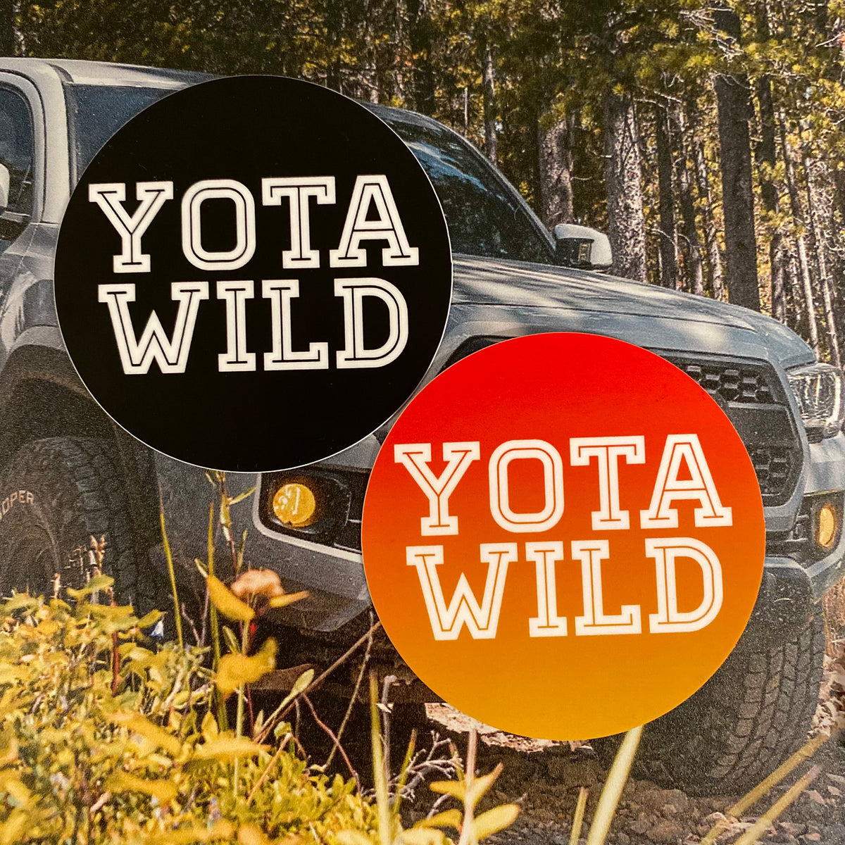 Yota Wild Round Sticker Fade